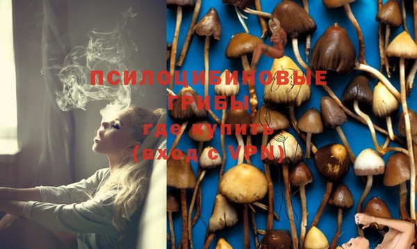 PSILOCYBIN Аркадак