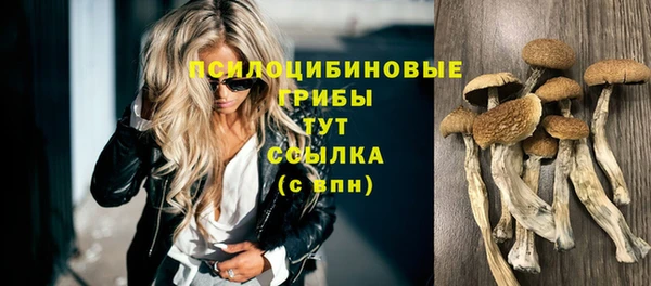 первитин Армянск