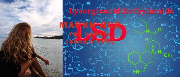 PSILOCYBIN Аркадак