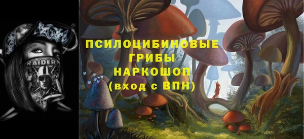 первитин Армянск