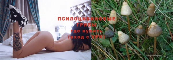 PSILOCYBIN Аркадак