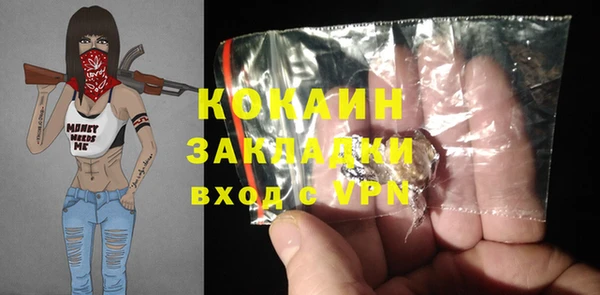 PSILOCYBIN Аркадак