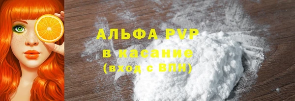 PSILOCYBIN Аркадак